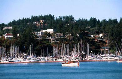 Friday Harbor Suites Friday Harbor